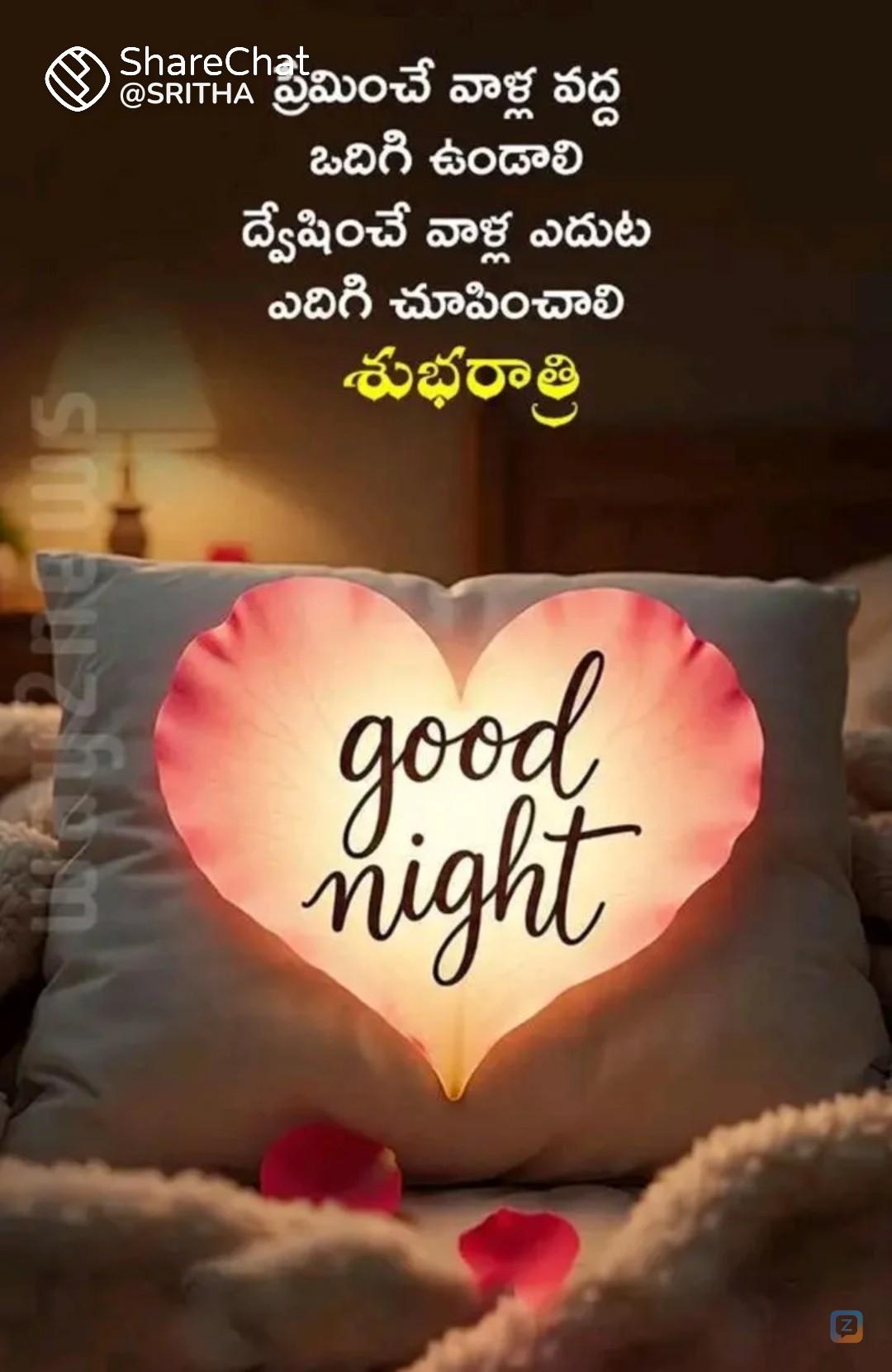 శుభ రాత్రి 